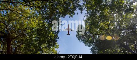 looking up through trees to a plane flying overhead. Stock Photo