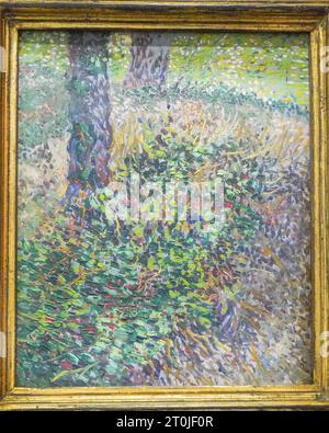 Undergrowth (Sous-bois) , Paris July  1887, Oil on canvas by Vincent Van Gogh Stock Photo