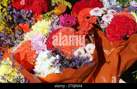 many varieties of fresh and dried flowers for sale at stall in outdoor flower market Stock Photo