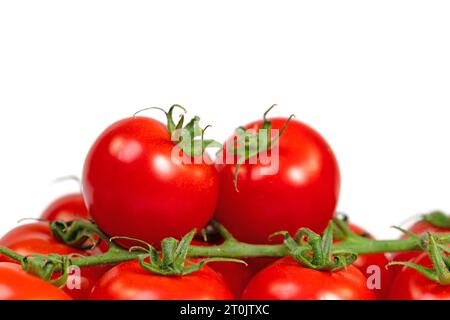 tomatoes on a vine isolated on a white background Stock Photo - Alamy