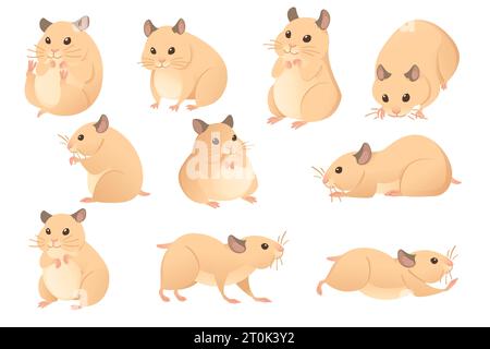 Set of Light brown hamster cute cartoon animal design vector illustration isolated on white background Stock Vector