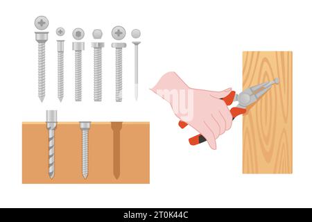 Collection of different types of screw vector illustration isolated on white background Stock Vector
