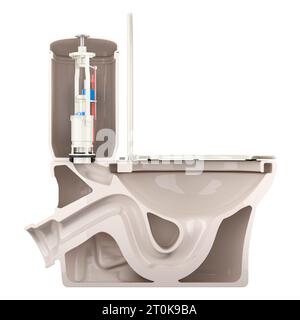 Cross section of toilet bowl, 3D rendering isolated on white background Stock Photo