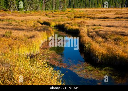 Oak Grove Fork Clackamas River at Clackamas Lake, Mt Hood National Forest, Oregon Stock Photo