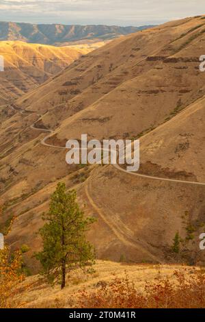 Buford Creek view from WA Highway 129, Asotin County, Washington Stock Photo