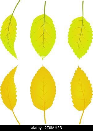 graphic illustrated Autumn leaves foliage fallen graphic illustrated colours gold yellow Stock Vector