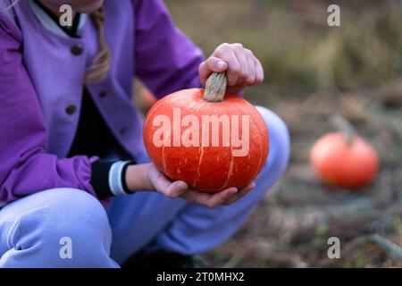 Autumn farming and harvest. Woman farmer holding big pumpkin in corn field. Stock Photo