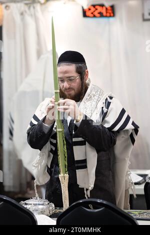 After Sukkos morning services, an orthodox Jewish man packs his lulav -palm frond holiday species for his trip home. In New York. Stock Photo