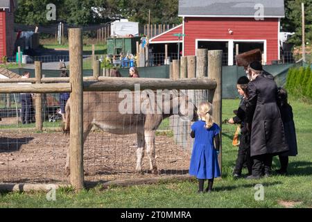 An orthodox Jewish family celebrates Sukkos by visiting the West Maple Farm, a petting zoo and fun place for children. In Monsey, New York. Stock Photo