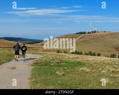 Feldberg Themenbild - Feldberg, Feldbergblick im Schwarzwald, im Naturpark Südschwarzwald, südlicher Schwarzwald, Tourismus Themenbild - Feldberg, Feldbergblick im Schwarzwald, im Naturpark Südschwarzwald, südlicher Schwarzwald, Tourismus Mit 1493 m ist der Feldberg, Landkreis Breisgau-Hochschwarzwald, im Naturpark Schwarzwald, im südlichen Schwarzwald, der höchste Berg, Gipfel in Baden-Württemberg. Friedrich-Luise-Turm auf dem Gipfel des Feldbergs im Schwarzwald, Feldbergturm, Wetterradaranlage und Wetterstation. Symbolbild, Themenbild, Featurebild *** Feldberg theme image Feldberg, Feldbergb Stock Photo