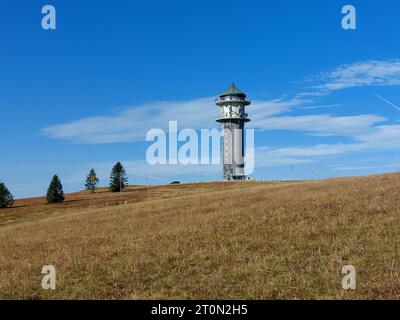 Feldberg Themenbild - Feldberg, Feldbergblick im Schwarzwald, im Naturpark Südschwarzwald, südlicher Schwarzwald, Tourismus Themenbild - Feldberg, Feldbergblick im Schwarzwald, im Naturpark Südschwarzwald, südlicher Schwarzwald, Tourismus Mit 1493 m ist der Feldberg, Landkreis Breisgau-Hochschwarzwald, im Naturpark Schwarzwald, im südlichen Schwarzwald, der höchste Berg, Gipfel in Baden-Württemberg. Das Schwarzwälder Schinkenmuseum am Feldberg, Feldbergturm am Seebuck Symbolbild, Themenbild, Featurebild *** Feldberg theme image Feldberg, Feldbergblick in the Black Forest, in the Southern Black Stock Photo