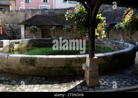 The Fosse Dionne in Tonnerre is a karst spring, fed by rainwater from the surrounding hills with its drainage channel to the Armançon River Stock Photo