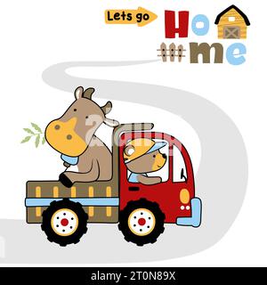 Cute bear driving truck with a bull going to barn, vector cartoon illustration Stock Vector