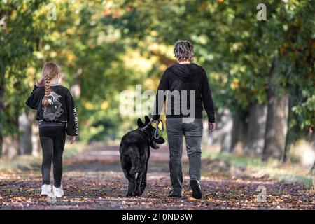 Kolkwitz, Germany. 08th Oct, 2023. A woman and a girl walk with a dog under oak trees of an avenue, which begin to turn autumnal colors. After a sunny Sunday, according to the German Weather Service, there will be widespread rain next night and also locally on Monday. Temperatures are not expected to rise above 15 degrees. Credit: Frank Hammerschmidt/dpa/Alamy Live News Stock Photo