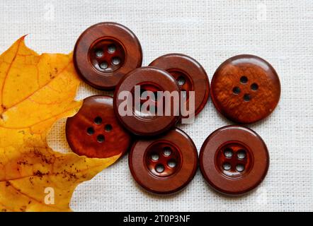 Seven brown buttons and yellow maple leaf on a white textile background Stock Photo