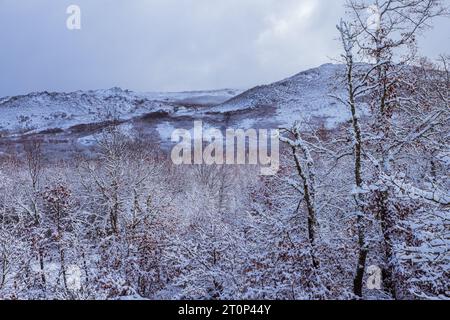 Winter landscape and snowfall in Baixa Limia Serra do Xures. South of province of Ourense. Galicia, Spain. Stock Photo