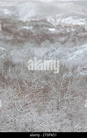 Winter landscape with trees and a snowy mountain in Baixa Limia Serra do Xures Natural Park Stock Photo