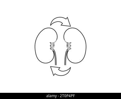 Transplant kidney icon. Vector illustration. Stock Vector
