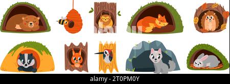 Animals inside burrows and hollows. Wild animal sleep, woodland children cute characters. For wolf in burrows, squirrel in hollow tree classy vector Stock Vector