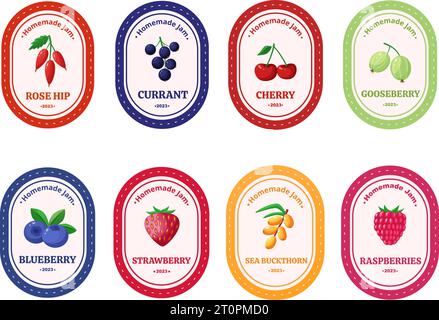 Berries jam stickers. Harvest products typography labels design. Decorative sticker with berry, cherry, strawberry nowaday vector template Stock Vector