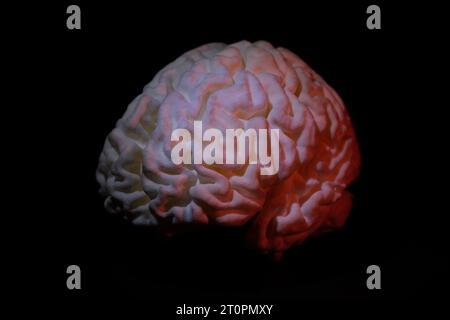 3D printed brain from a MRI scan of a human brain Stock Photo - Alamy