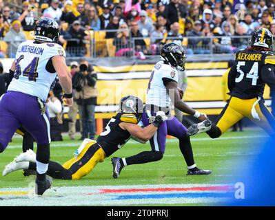 Pittsburgh Steelers linebacker Cole Holcomb (55) defends during an