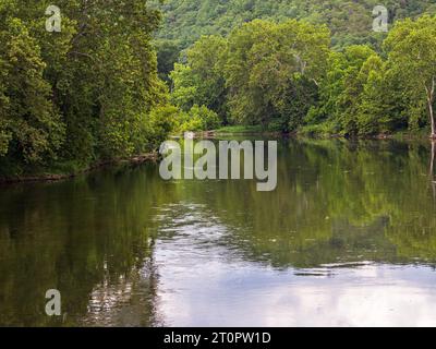 Amidst the embrace of Virginia's nature, the Shenandoah River South Fork meanders gracefully, flanked by a lush tapestry of dense, vibrant vegetation Stock Photo