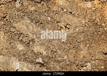 Concrete wall background in holes in gray with space for notes. For design. High quality photo Stock Photo