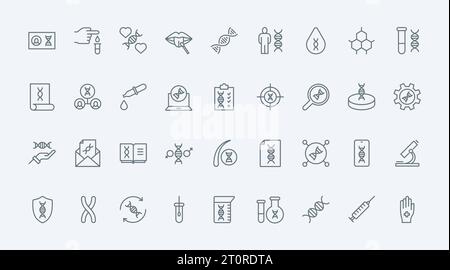 DNA research, medical tests in clinic thin line icons set vector illustration. Outline genetic diagnostics symbols, analysis of hair and blood samples, scientific technology for disease diagnosis Stock Vector