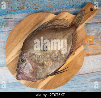 Saint-Pierre Seafish, Zeus Faber, John Dory, Pez de San Pedro, fish, isolated on cutting board background Stock Photo