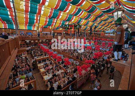 Munich, Germany, EU - September 18, 2023. People drinking inside of a beer tent at Oktoberfest Munich with traditional clothing Dirndls and Lederhosen Stock Photo