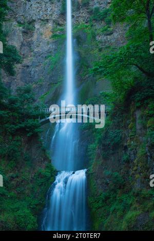 A lush forest surrounds a tranquil river, where a waterfall cascades over a bridge Stock Photo