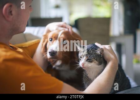 Man sitting on sofa with domestic animals. Pet owner stroking his old cat and dog together. Stock Photo