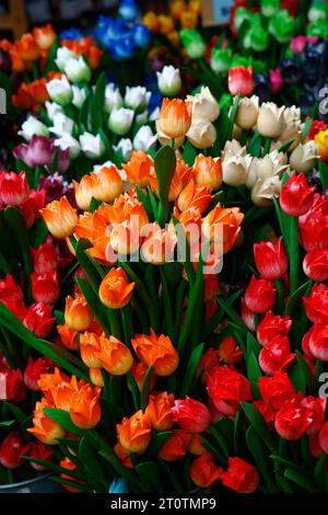 Souvenirs at the Amsterdam's Flower market on Singel canal, Holland. Stock Photo