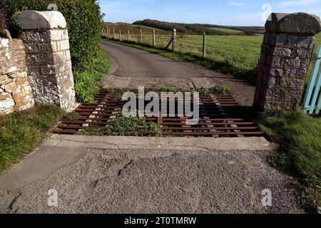 A privately owned cattle grid set in the driveway on the way down to a house in a secluded area. Stock Photo