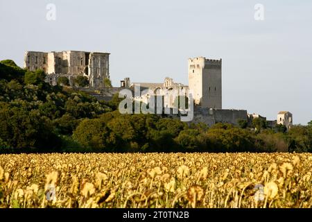Abbaye de Montmajour, Provence, France. Stock Photo