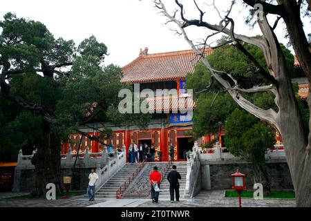 Confucius temple. Beijing, China. Stock Photo