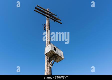 Large wood birdhouse wildlife box on old telephone pole. Stock Photo