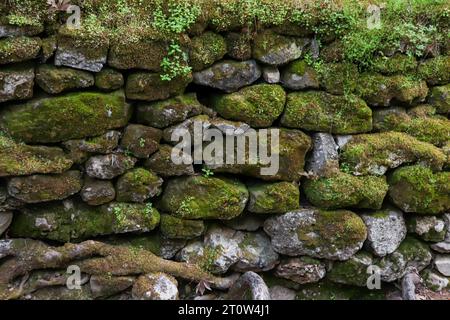 Abstract background texture of stone rock wall covered by moss Stock Photo