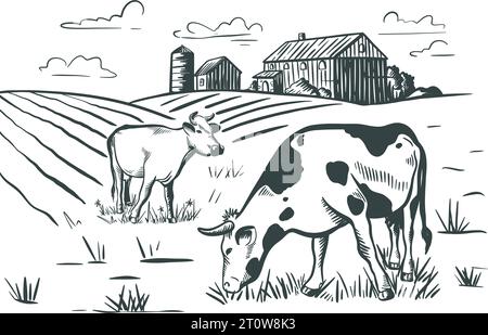 Cows graze in meadow near farm hand engraving. Rural landscape with animals graphic ink sketch. Natural farmland with cattle, vector illustration Stock Vector
