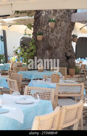 A pretty outdoor Dining area of a Greek Taverna, set around the base of an old Tree Trunk. There's Tables covered with Blue Cloths and Wicker Chairs. Stock Photo