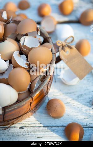 10 February 2023: Easter, broken eggs shells on light wood in a basket *** Ostern, zerbrochene Eier Schalen auf hellem Holz in einem Korb Stock Photo
