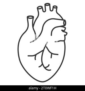 Human heart icon. Anatomically correct heart with venous system icon. Vector illustration. Eps 10. Stock Vector