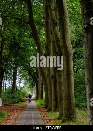 Overasselt, Netherlands. 08th Oct, 2023. People are seen cycling along a bike road surrounded by tall trees. This weekend, the weather was perfect for a walk. Autumn is always a lovely time of the year to explore more of the Dutch countryside and get the blood pumping by engaging in a leisurely or lively hike. Credit: SOPA Images Limited/Alamy Live News Stock Photo