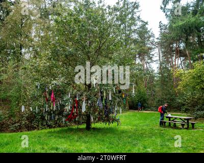 Overasselt, Netherlands. 08th Oct, 2023. A man is seen taking a look at some books placed on a table, close to a tree decorated with scarfs. This weekend, the weather was perfect for a walk. Autumn is always a lovely time of the year to explore more of the Dutch countryside and get the blood pumping by engaging in a leisurely or lively hike. Credit: SOPA Images Limited/Alamy Live News Stock Photo