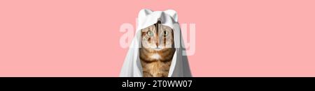 Red cat in a ghost costume. Ghost cat, festive background for Halloween. Stock Photo