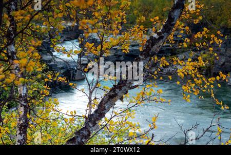 September 14, 2023: The autumn season is relatively short in northern Sweden; however, the colors and the region's geology are stunning along the Karsajakka River and the Kungsleden Trail, also known as the King's Trail. Abisko National Park, Abisko, Sweden. The Kungsleden is one of the world's most magnificent long distance hiking trails. The trail is over 430km long and travels from Abisko in the north to the southern terminus in Hemavan. Supported by 16 mountain cabins, the trail is popular for hikers during the summer months and for ski touring during the winter. Stock Photo