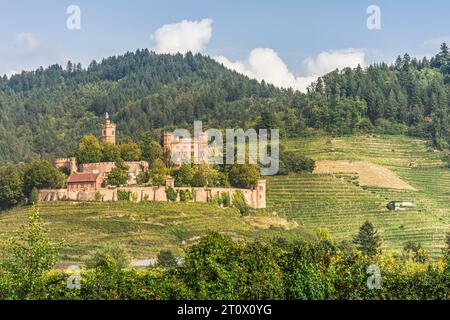 Ortenberg Castle near Offenburg, historic castle on a hill surrounded by vineyards, Ortenberg, Black Forest, Baden-Wuerttemberg, Germany Stock Photo