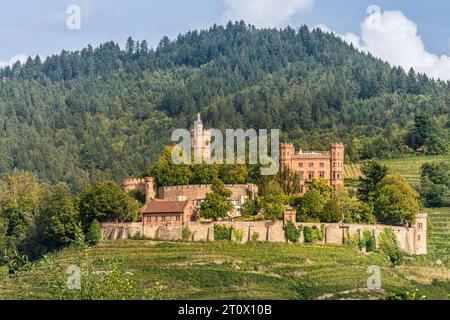 Ortenberg Castle near Offenburg, historic castle on a hill surrounded by vineyards, Ortenberg, Black Forest, Baden-Wuerttemberg, Germany Stock Photo