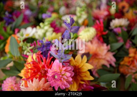 Many pots of colourful flowers ready for a wedding reception. Stock Photo